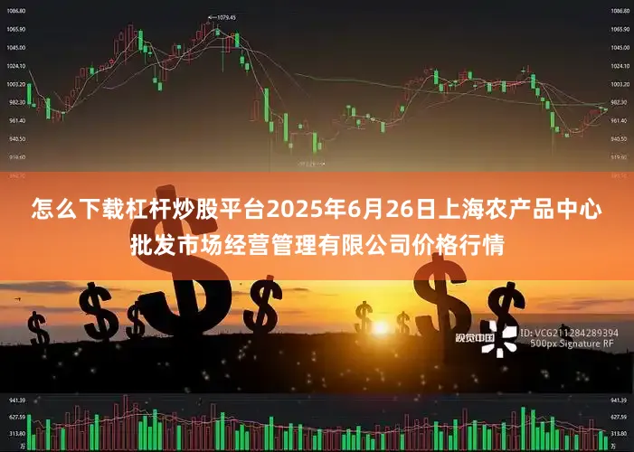 怎么下载杠杆炒股平台2025年6月26日上海农产品中心批发市场经营管理有限公司价格行情