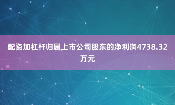 配资加杠杆归属上市公司股东的净利润4738.32万元