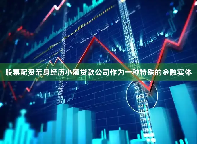 股票配资亲身经历小额贷款公司作为一种特殊的金融实体