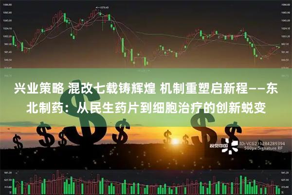 兴业策略 混改七载铸辉煌 机制重塑启新程——东北制药：从民生药片到细胞治疗的创新蜕变